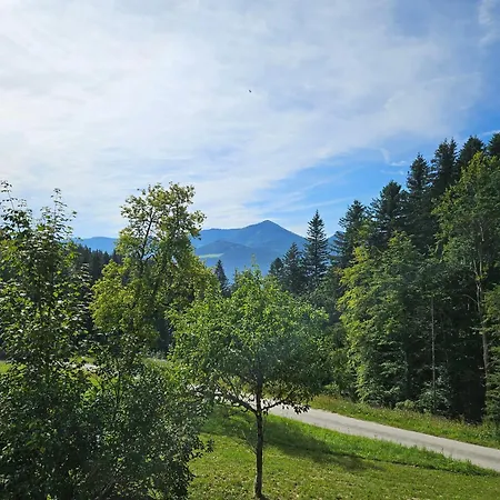 Apartamento Hüttenbauer *