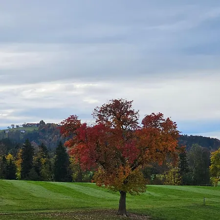 Hüttenbauer Dorf (Salzburg)