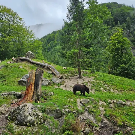 Διαμέρισμα Huettenbauer *