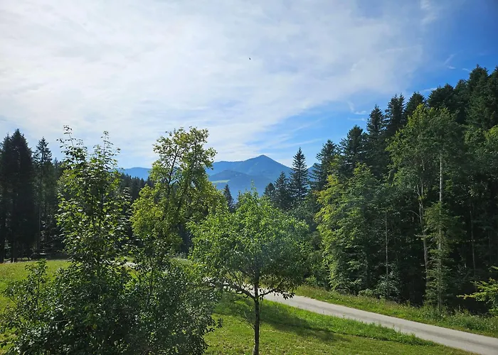 Apartmán Huettenbauer *