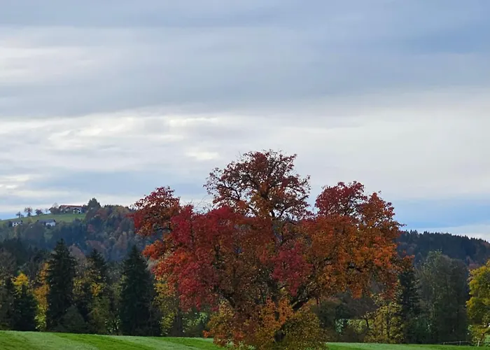 Huettenbauer Dorf (Salzburg)