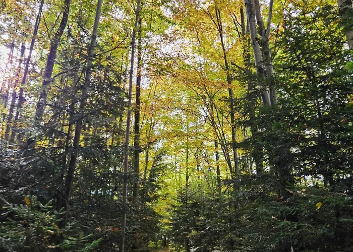 Huettenbauer Apartmán *