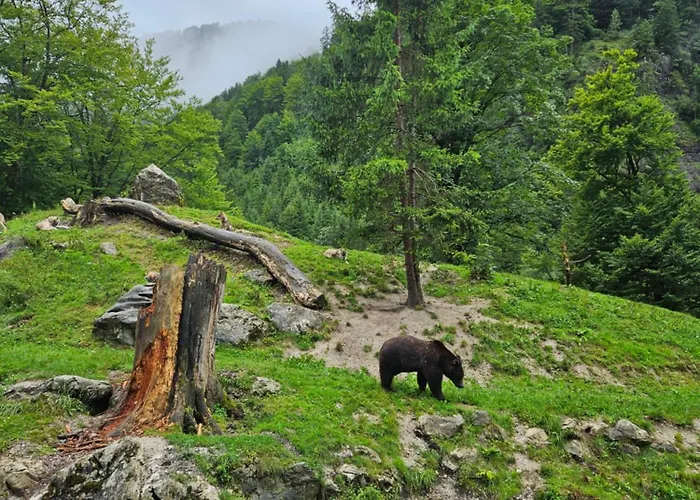 Apartmán Huettenbauer *